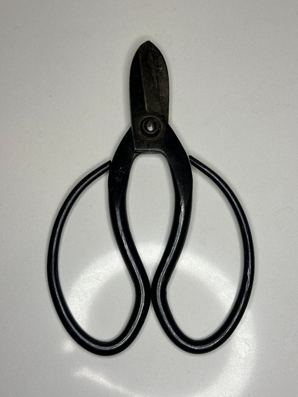 Japanese Bonsai Scissors Kaneda 金田 Ikebana Hasami 6.9”